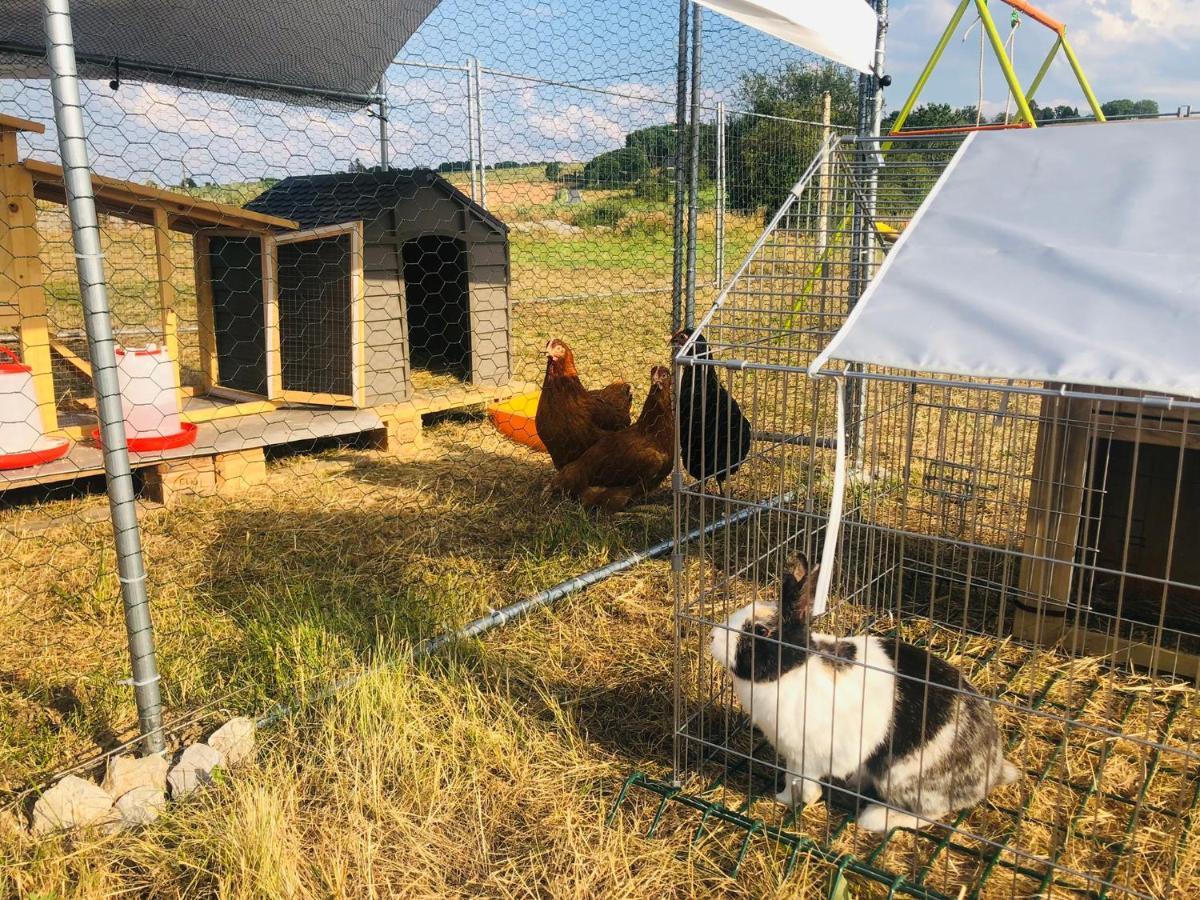 Le Gite De Golette Mettet Zewnętrze zdjęcie
